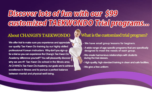 Taekwondo intro programs