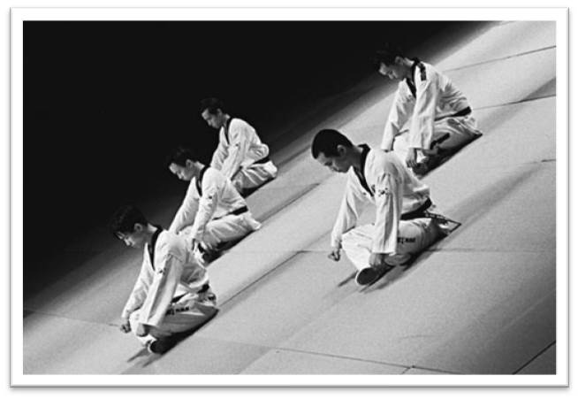 Chang;s taekwondo means